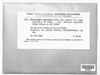 Image Associated With the Occurence
